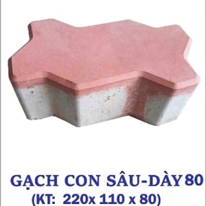 Gạch Con Sâu - Dày 80