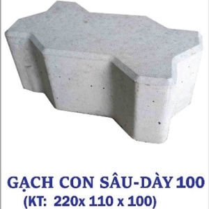 Gạch Con Sâu - Dày 100