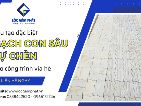 Cấu tạo đặc biệt của gạch con sâu tự chèn - Sự lựa chọn tốt cho công trình lát gạch vỉa hè