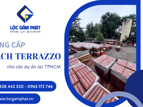 Cung cấp gạch terrazzo chất lượng cao cho mọi dự án lớn nhỏ tại TPHCM