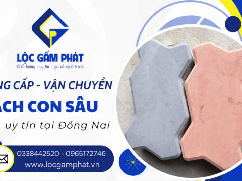 Địa chỉ cung cấp và vận chuyển gạch con sâu uy tín tại Đồng Nai