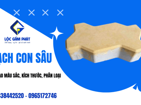 Tìm hiểu cấu tạo màu sắc, kích thước, phân loại gạch con sâu 