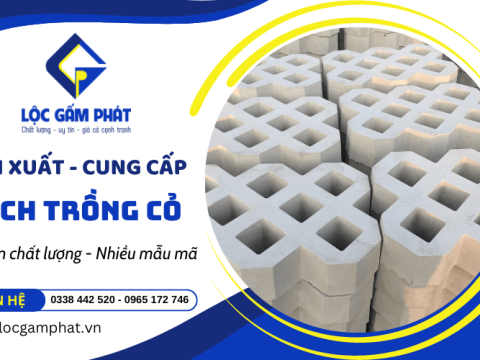 Gạch trồng cỏ đẹp chất lượng cao nhiều mẫu mã tại Lộc Gấm Phát