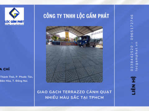 Giao gạch Terrazzo cánh quạt nhiều màu sắc tại TPHCM