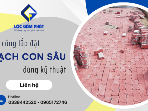 Hướng dẫn thi công lắp đặt gạch con sâu đúng kỹ thuật