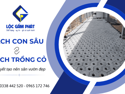 Kết hợp gạch con sâu và gạch trồng cỏ – Bí quyết tạo nên sân vườn đẹp