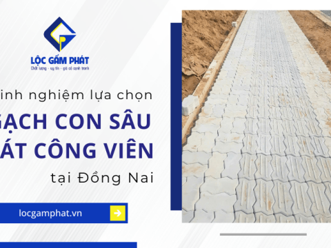 Lộc Gấm Phát chia sẻ kinh nghiệm lựa chọn gạch con sâu lát công viên Đồng Nai