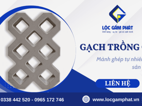 Mảnh ghép tự nhiên cho ngôi nhà - Gạch trồng cỏ sân vườn